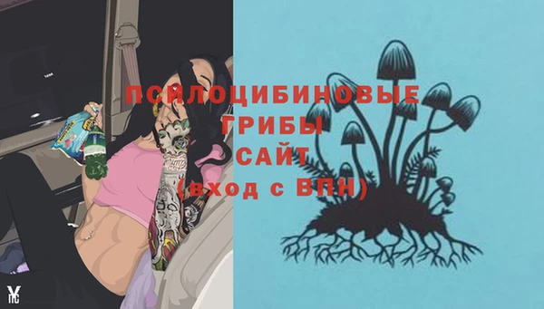 гидропоника Алзамай