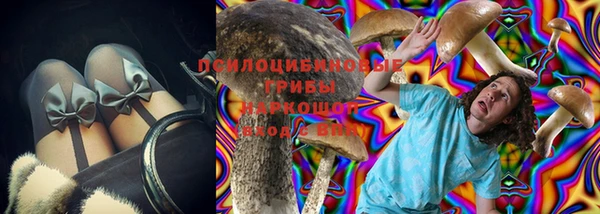 гидропоника Алзамай