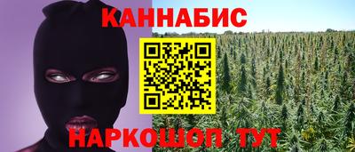 сатива Малгобек