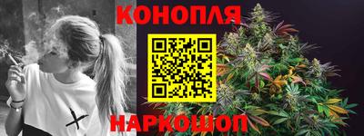 сатива Малгобек