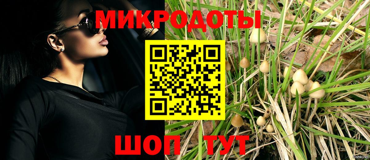 Псилоцибиновые грибы GOLDEN TEACHER Краснознаменск