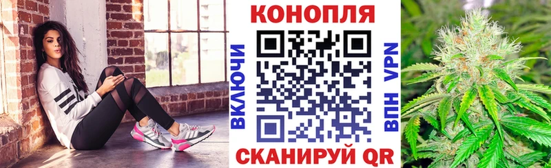 купить  сайты  Краснознаменск  MEGA вход  МАРИХУАНА SATIVA & INDICA 